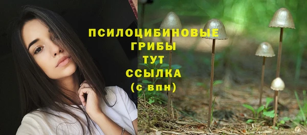 стаф Остров