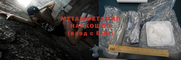 гидра Туринск