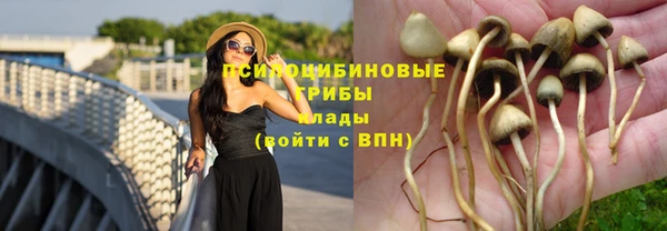 героин Осинники