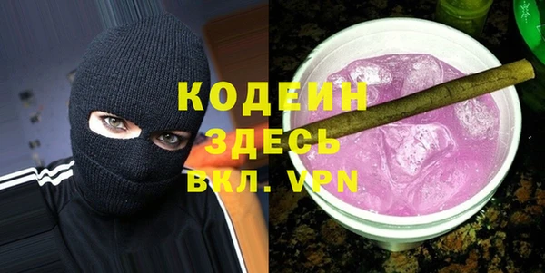 мдпв Ельня