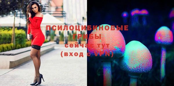 стаф Остров