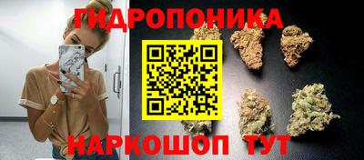 трава Ипатово
