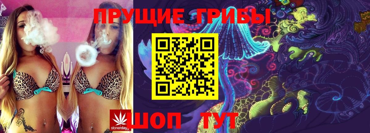 Псилоцибиновые грибы Psilocybe Кинешма